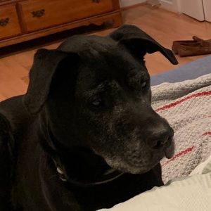 Meet your Posher, Christina